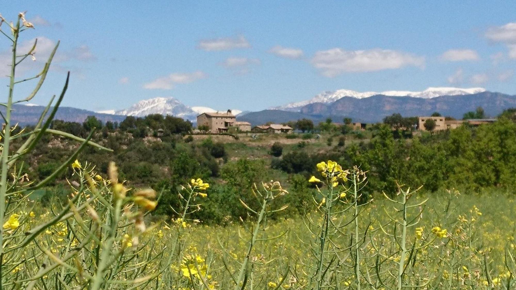 Casa Rural Sant Grau Turismo Saludable Y Responsable Solsona Exterior photo